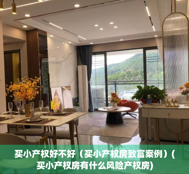 买小产权好不好（买小产权房致富案例）(买小产权房有什么风险产权房)
