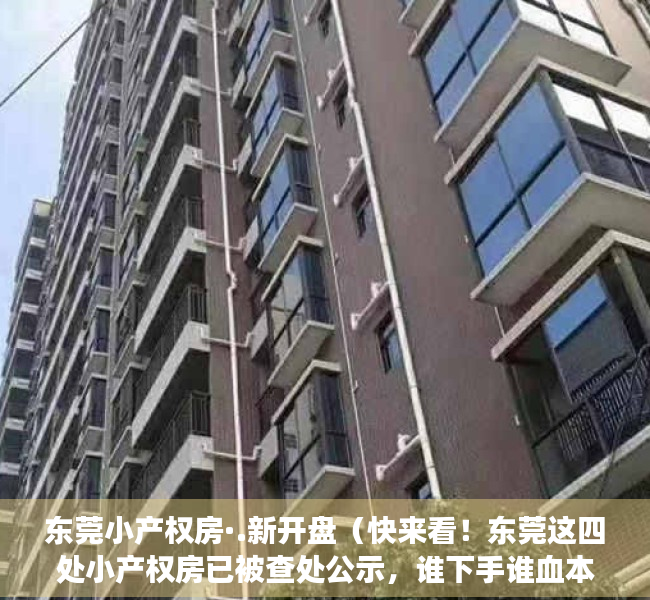 东莞小产权房·.新开盘（快来看！东莞这四处小产权房已被查处公示，谁下手谁血本无归！）