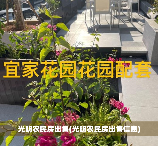 光明农民房出售(光明农民房出售信息) 光明农民房出售(光明农民房出售信息)