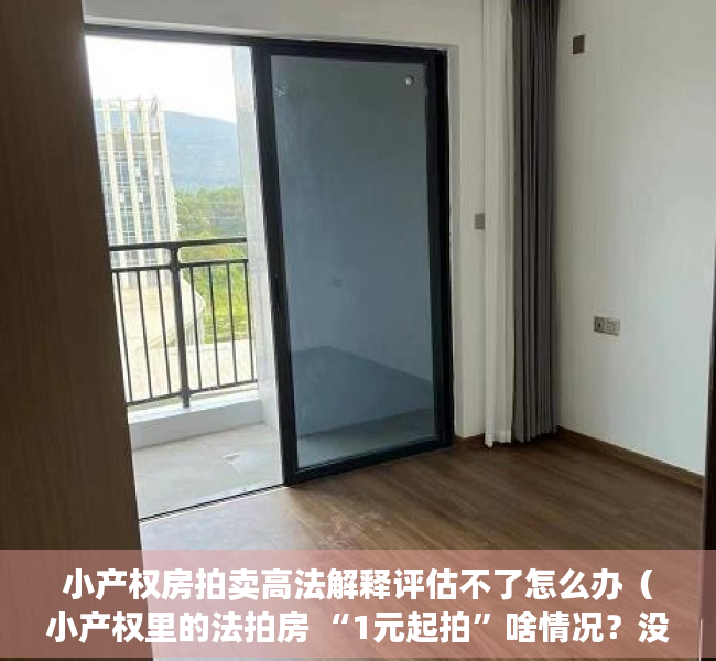 小产权房拍卖高法解释评估不了怎么办（小产权里的法拍房 “1元起拍”啥情况？没那么容易捡到“便宜”）