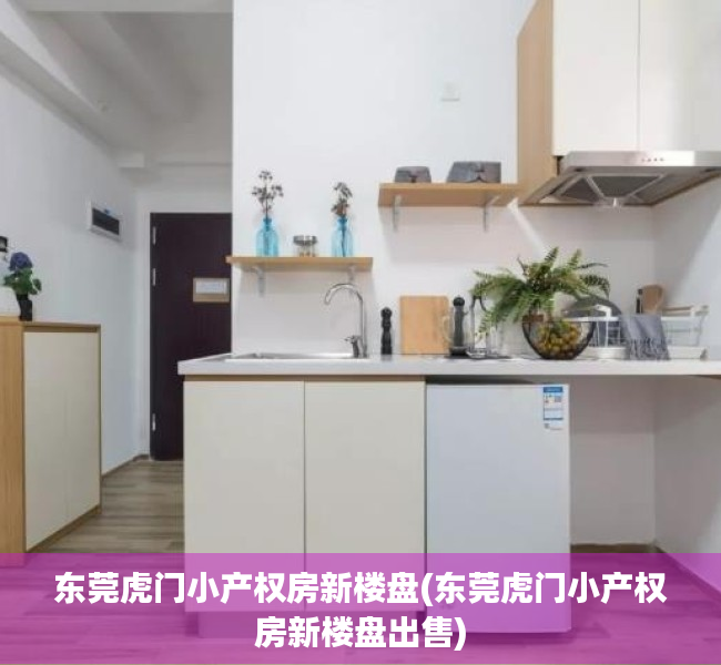 东莞虎门小产权房新楼盘(东莞虎门小产权房新楼盘出售)