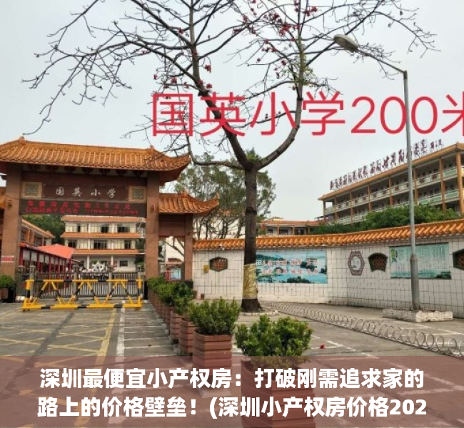 深圳最便宜小产权房：打破刚需追求家的路上的价格壁垒！(深圳小产权房价格2021)