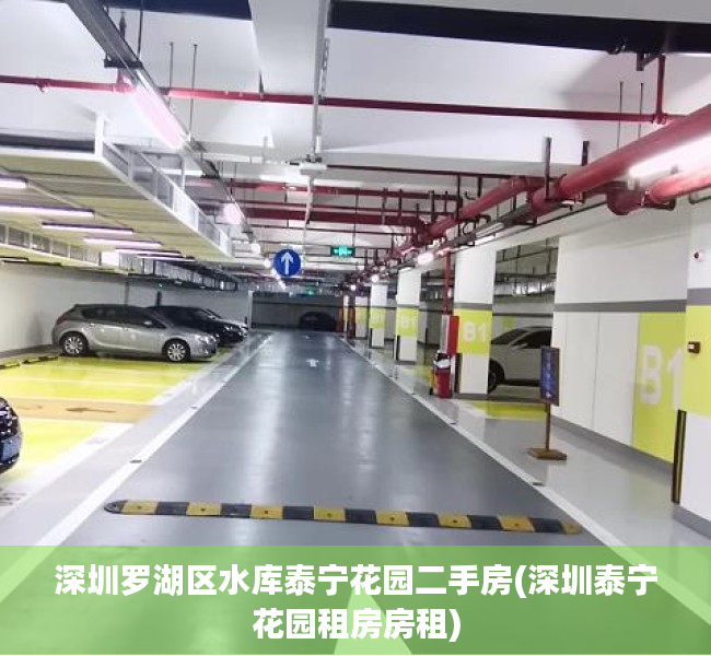 深圳罗湖区水库泰宁花园二手房(深圳泰宁花园租房房租) 深圳罗湖区水库泰宁花园二手房(深圳泰宁花园租房房租)