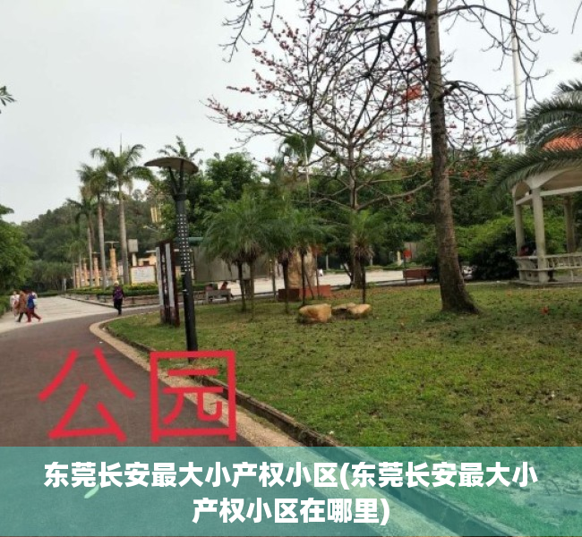 东莞长安最大小产权小区(东莞长安最大小产权小区在哪里) 东莞长安最大小产权小区(东莞长安最大小产权小区在哪里)