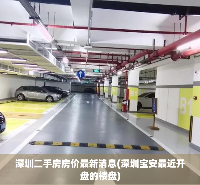 深圳二手房房价最新消息(深圳宝安最近开盘的楼盘) 深圳二手房房价最新消息(深圳宝安最近开盘的楼盘)