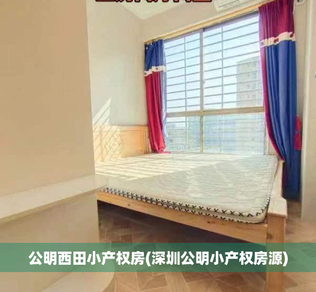 公明西田小产权房(深圳公明小产权房源) 公明西田小产权房(深圳公明小产权房源)