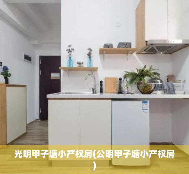 光明甲子塘小产权房(公明甲子塘小产权房) 光明甲子塘小产权房(公明甲子塘小产权房)