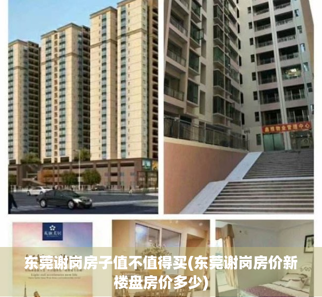 东莞谢岗房子值不值得买(东莞谢岗房价新楼盘房价多少) 东莞谢岗房子值不值得买(东莞谢岗房价新楼盘房价多少)