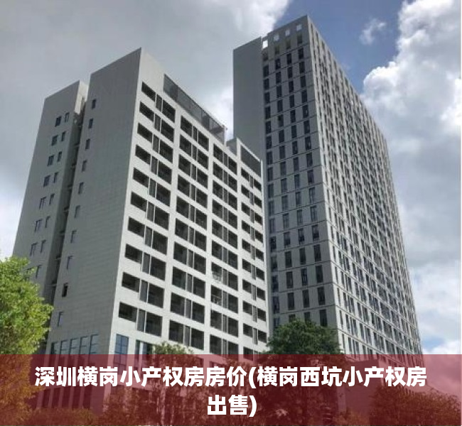 深圳横岗小产权房房价(横岗西坑小产权房出售)