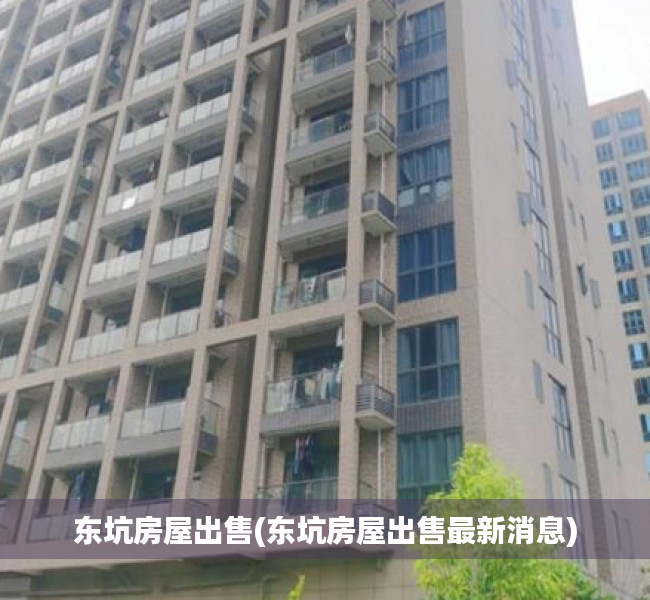 东坑房屋出售(东坑房屋出售最新消息) 东坑房屋出售(东坑房屋出售最新消息)