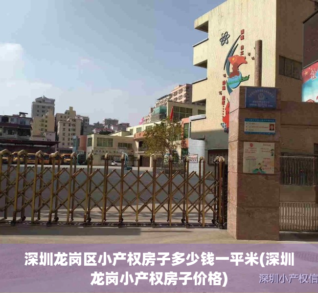 深圳龙岗区小产权房子多少钱一平米(深圳龙岗小产权房子价格)