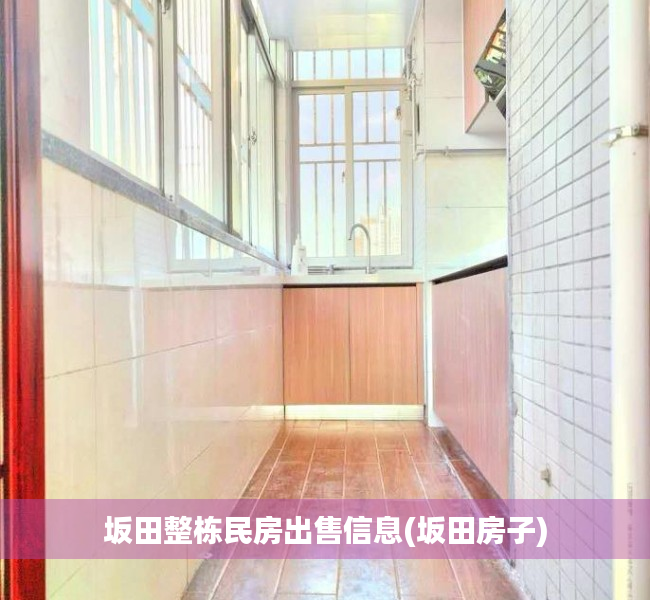 坂田整栋民房出售信息(坂田房子) 坂田整栋民房出售信息(坂田房子)