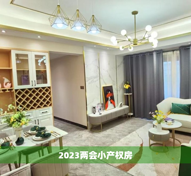 2023两会小产权房 2023两会小产权房