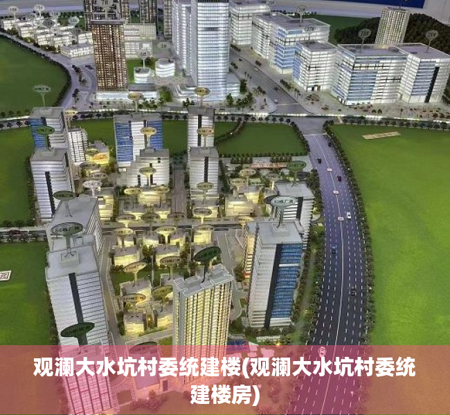 观澜大水坑村委统建楼(观澜大水坑村委统建楼房)