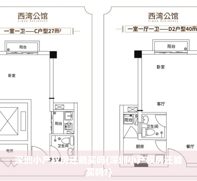 深圳小产权房还能买吗(深圳小产权房还能买吗?) 深圳小产权房还能买吗(深圳小产权房还能买吗?)