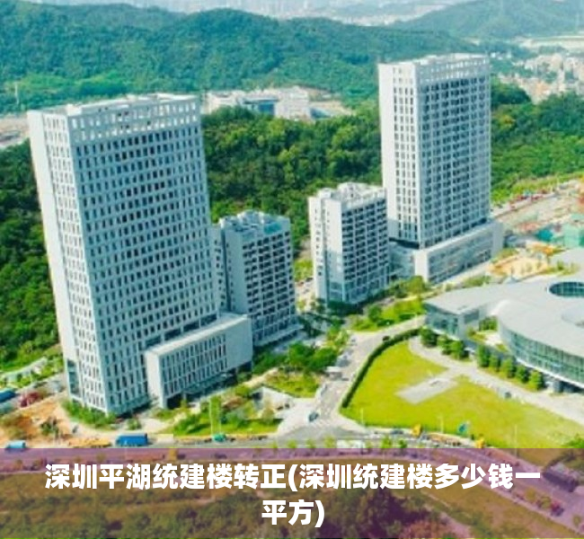 深圳平湖统建楼转正(深圳统建楼多少钱一平方) 深圳平湖统建楼转正(深圳统建楼多少钱一平方)