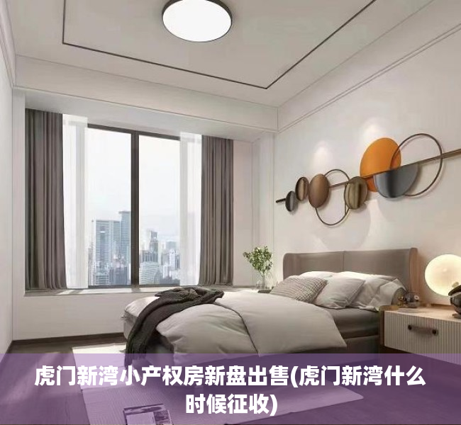 虎门新湾小产权房新盘出售(虎门新湾什么时候征收)