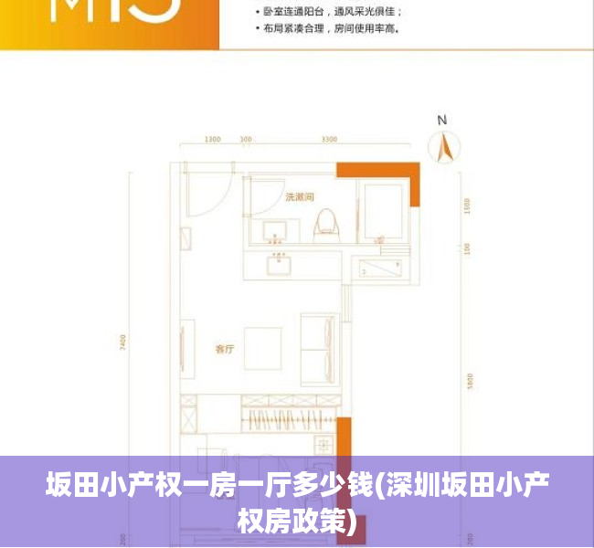 坂田小产权一房一厅多少钱(深圳坂田小产权房政策) 坂田小产权一房一厅多少钱(深圳坂田小产权房政策)
