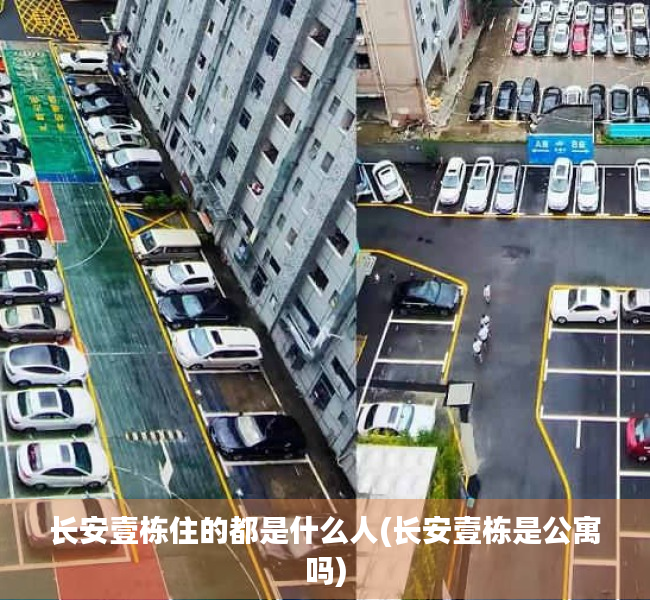 长安壹栋住的都是什么人(长安壹栋是公寓吗)