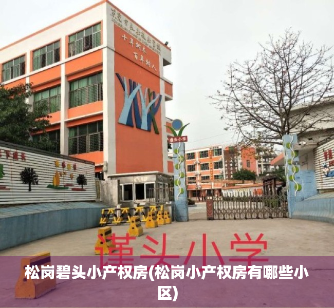 松岗碧头小产权房(松岗小产权房有哪些小区) 松岗碧头小产权房(松岗小产权房有哪些小区)