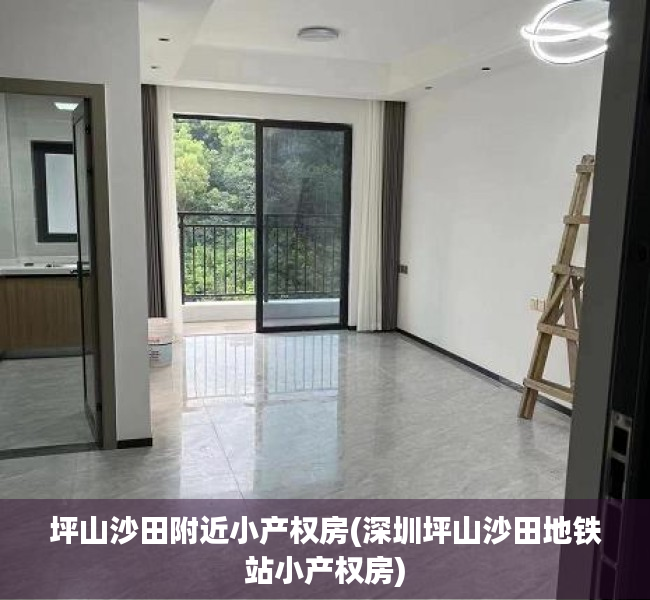 坪山沙田附近小产权房(深圳坪山沙田地铁站小产权房) 坪山沙田附近小产权房(深圳坪山沙田地铁站小产权房)