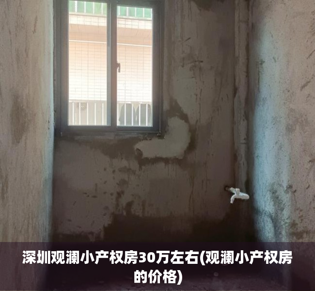 深圳观澜小产权房30万左右(观澜小产权房的价格)