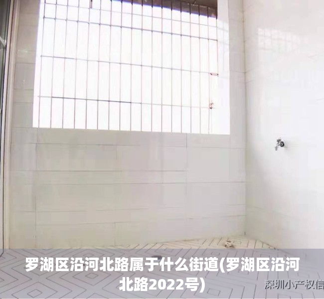 罗湖区沿河北路属于什么街道(罗湖区沿河北路2022号) 罗湖区沿河北路属于什么街道(罗湖区沿河北路2022号)