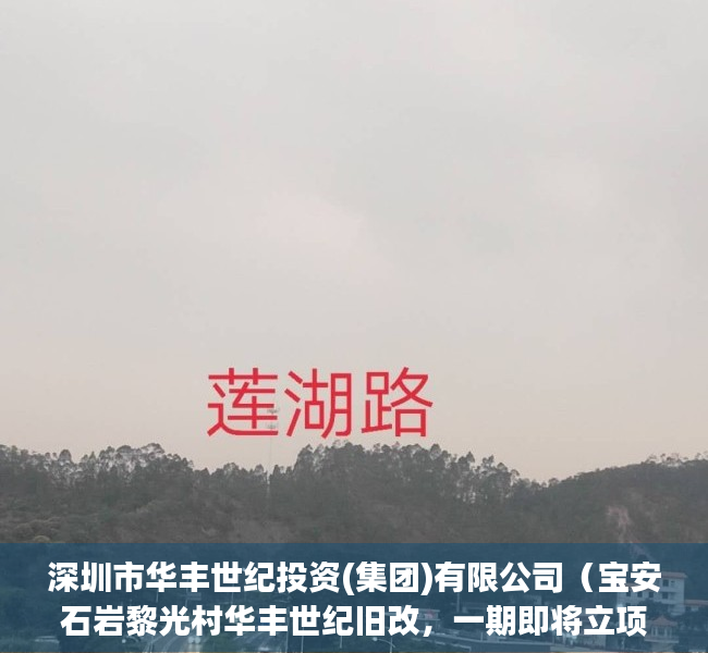 深圳市华丰世纪投资(集团)有限公司（宝安石岩黎光村华丰世纪旧改，一期即将立项，二期范围内小产权房出售，实测面积，单价低性价比高）