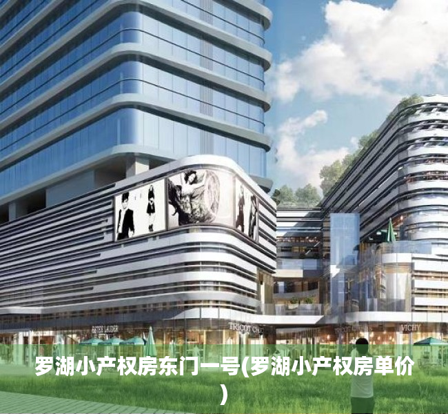 罗湖小产权房东门一号(罗湖小产权房单价) 罗湖小产权房东门一号(罗湖小产权房单价)