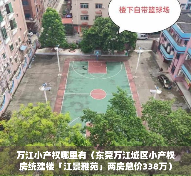 万江小产权哪里有（东莞万江城区小产权房统建楼「江景雅苑」两房总价338万）