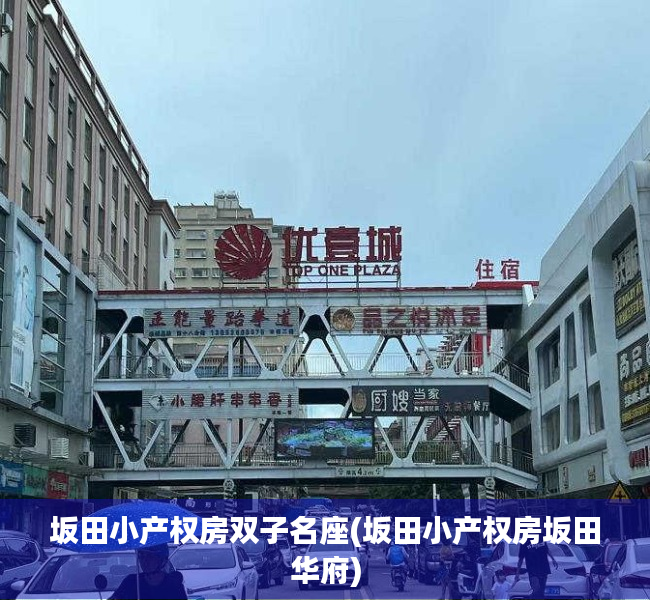 坂田小产权房双子名座(坂田小产权房坂田华府) 坂田小产权房双子名座(坂田小产权房坂田华府)