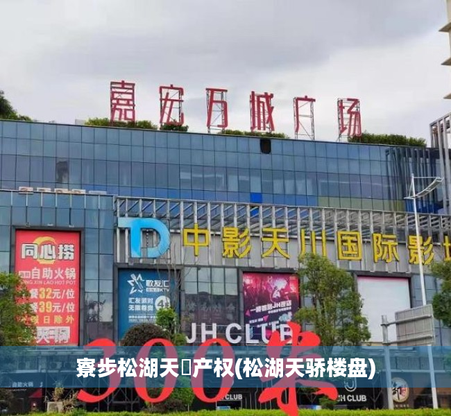 寮步松湖天玥产权(松湖天骄楼盘)