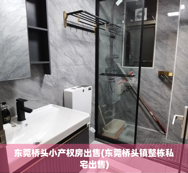 东莞桥头小产权房出售(东莞桥头镇整栋私宅出售) 东莞桥头小产权房出售(东莞桥头镇整栋私宅出售)