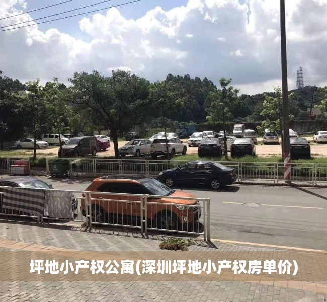 坪地小产权公寓(深圳坪地小产权房单价) 坪地小产权公寓(深圳坪地小产权房单价)
