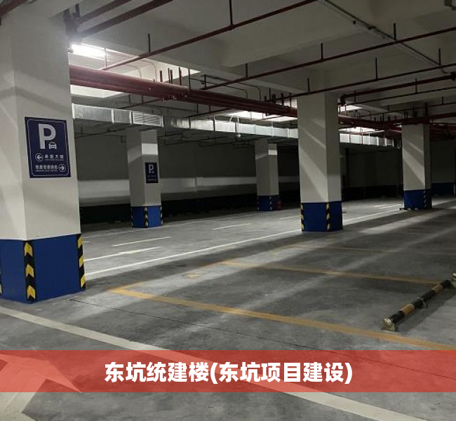 东坑统建楼(东坑项目建设) 东坑统建楼(东坑项目建设)