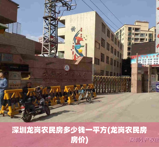 深圳龙岗农民房多少钱一平方(龙岗农民房房价) 深圳龙岗农民房多少钱一平方(龙岗农民房房价)