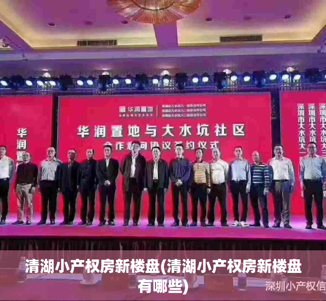 清湖小产权房新楼盘(清湖小产权房新楼盘有哪些) 清湖小产权房新楼盘(清湖小产权房新楼盘有哪些)