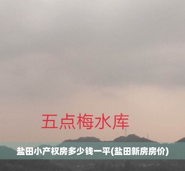 盐田小产权房多少钱一平(盐田新房房价) 盐田小产权房多少钱一平(盐田新房房价)