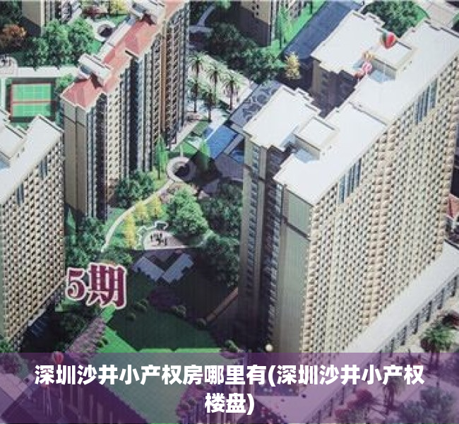深圳沙井小产权房哪里有(深圳沙井小产权楼盘)
