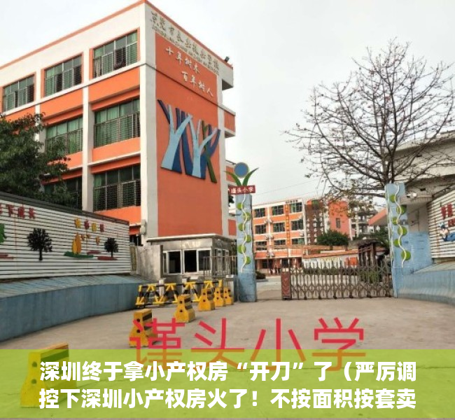 深圳终于拿小产权房“开刀”了（严厉调控下深圳小产权房火了！不按面积按套卖，涨幅大风险也大！）