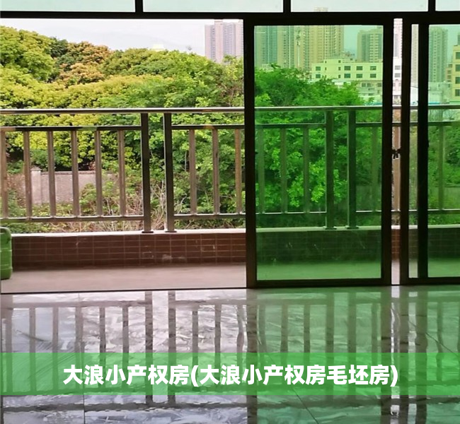 大浪小产权房(大浪小产权房毛坯房) 大浪小产权房(大浪小产权房毛坯房)