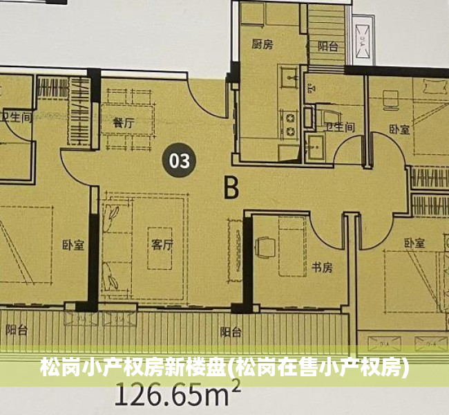 松岗小产权房新楼盘(松岗在售小产权房) 松岗小产权房新楼盘(松岗在售小产权房)