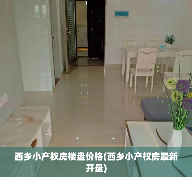 西乡小产权房楼盘价格(西乡小产权房最新开盘)