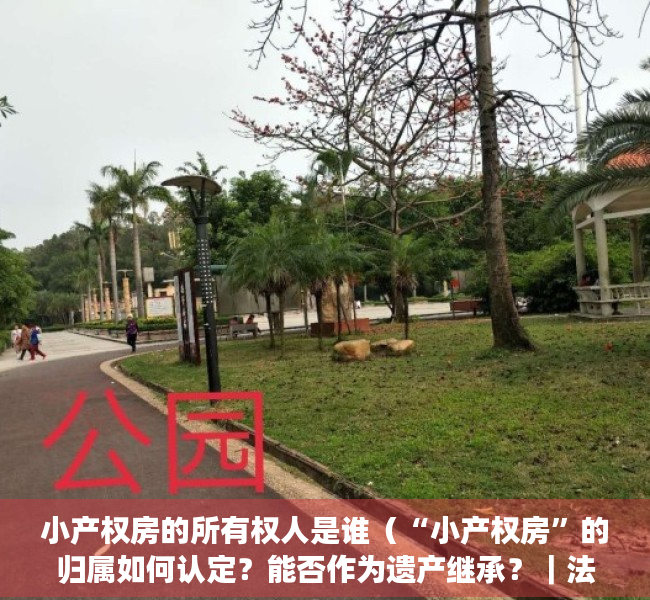 小产权房的所有权人是谁（“小产权房”的归属如何认定？能否作为遗产继承？｜法客帝国）