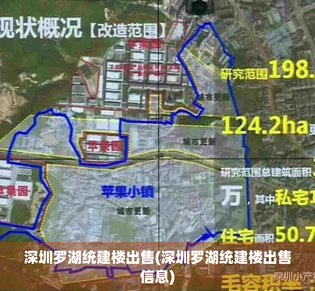深圳罗湖统建楼出售(深圳罗湖统建楼出售信息) 深圳罗湖统建楼出售(深圳罗湖统建楼出售信息)