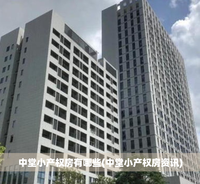 中堂小产权房有哪些(中堂小产权房资讯) 中堂小产权房有哪些(中堂小产权房资讯)