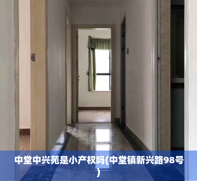 中堂中兴苑是小产权吗(中堂镇新兴路98号)