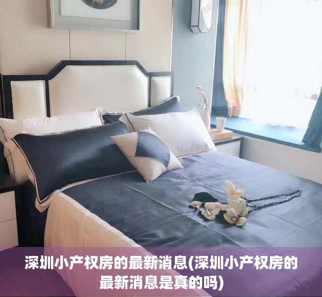 深圳小产权房的最新消息(深圳小产权房的最新消息是真的吗)