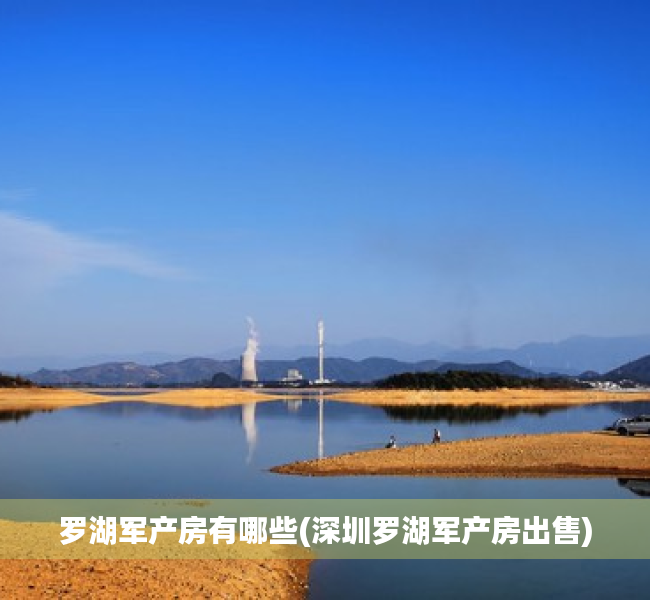 罗湖军产房有哪些(深圳罗湖军产房出售)