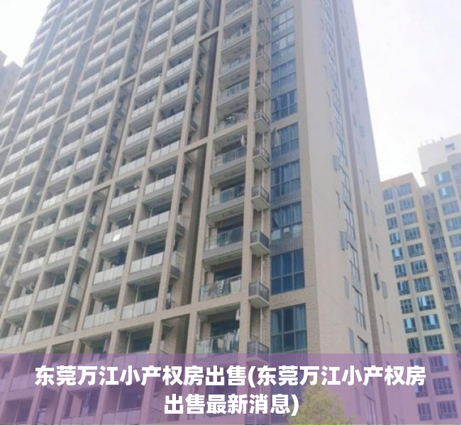 东莞万江小产权房出售(东莞万江小产权房出售最新消息)